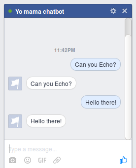 Facebook Echo
